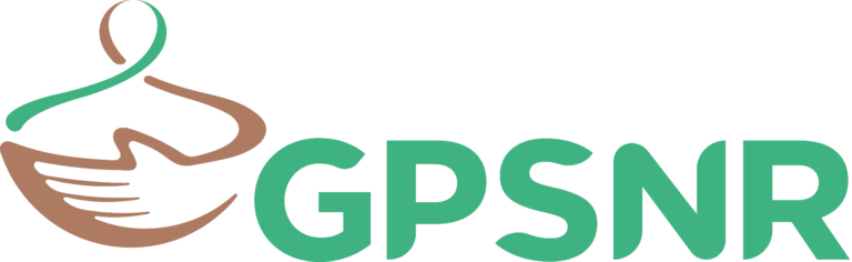 GPNSR